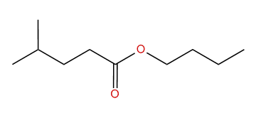 Butyl 4-methylpentanoate